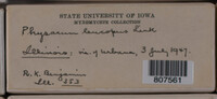 Image Associated With the Occurence